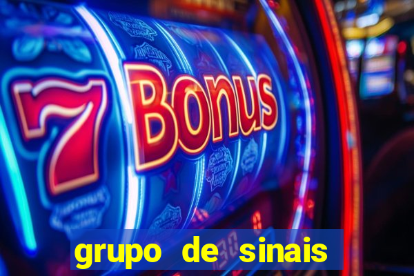 grupo de sinais trader telegram